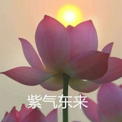 奇迹最强者破解版下载
